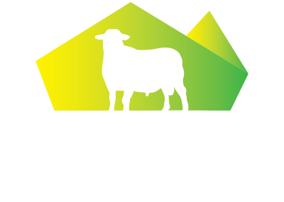 Australian Dormers